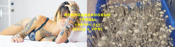 стаф Алексеевка