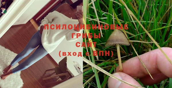 ГАЛЛЮЦИНОГЕННЫЕ ГРИБЫ Сафоново
