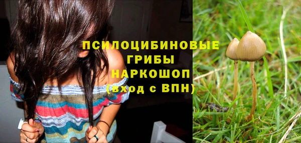стаф Алексеевка