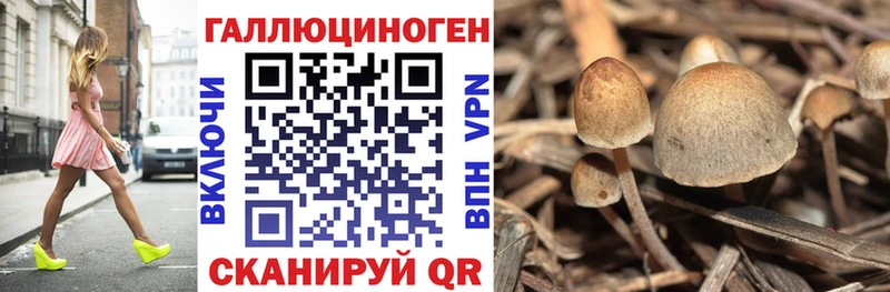 Псилоцибиновые грибы мухоморы  Спасск 