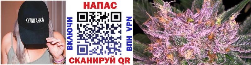 дарнет шоп  ОМГ ОМГ как войти  Конопля марихуана  Спасск 